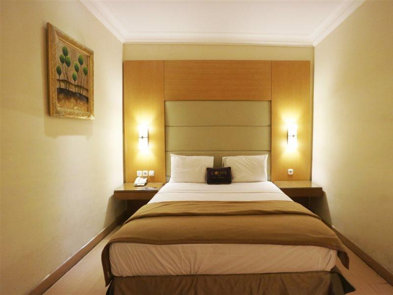 Hotel Coins 3*