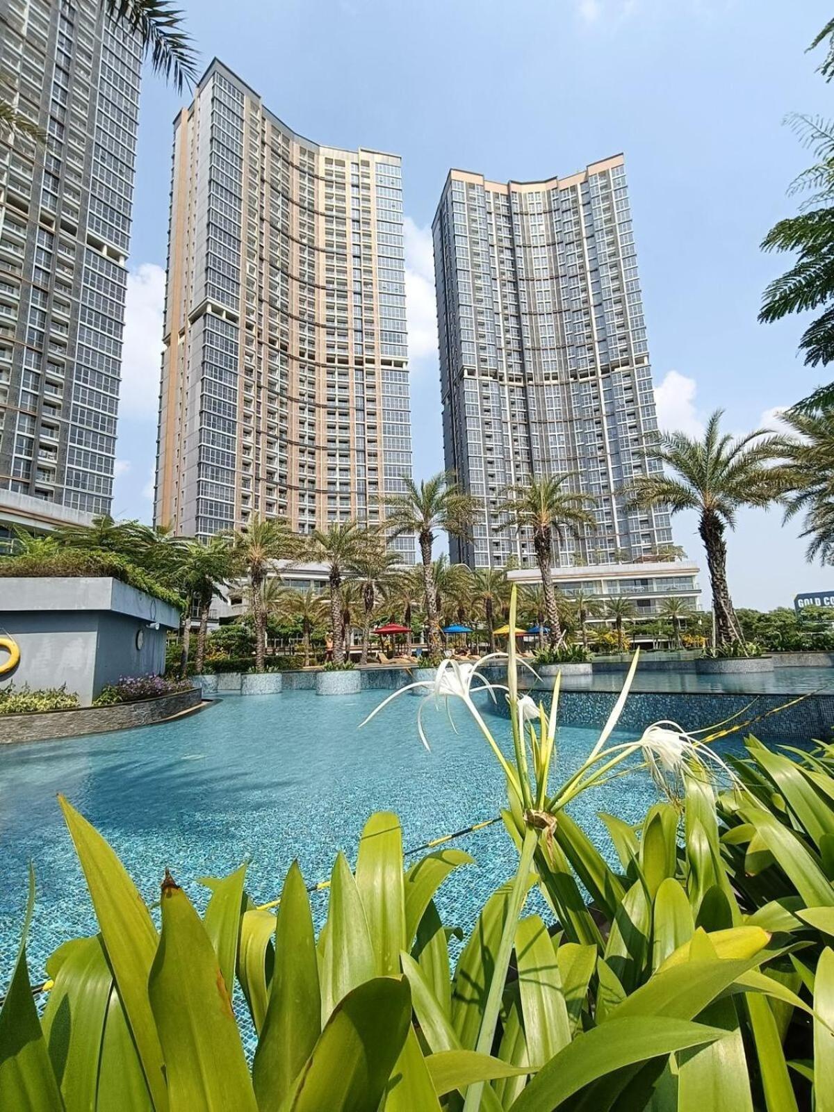 Apartment Gold Coast Dubai Netflix *
