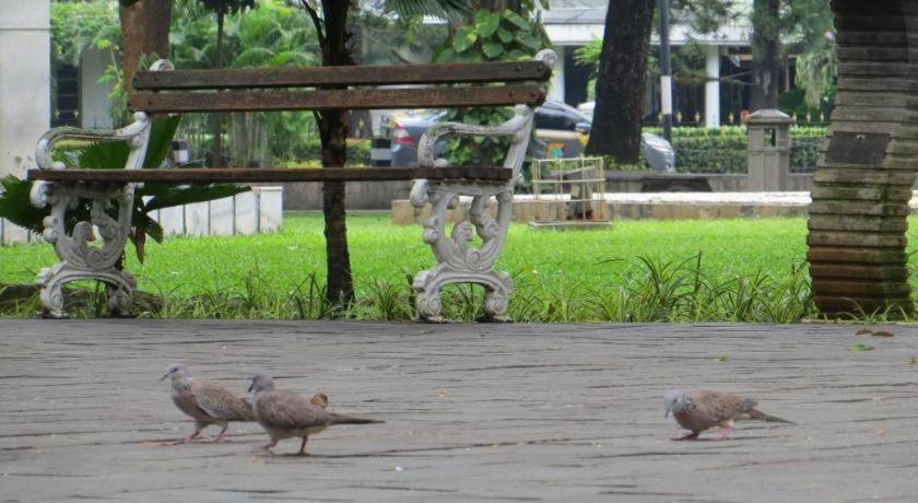 Kartika Chandra Hotel