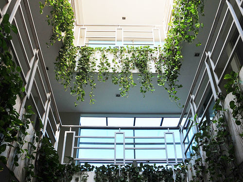 Casa de hóspedes Legreen Tondano